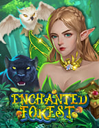 เว็บ แทง บอล ถูก กฎหมาย พร้อมวิธีเล่นสำหรับมือใหม่